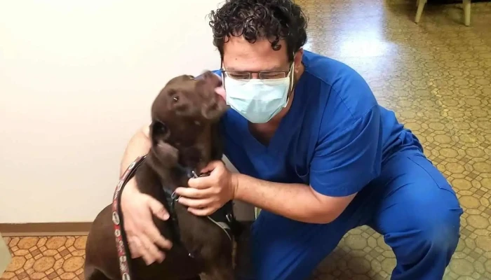 Vulcan Veterinary Hospital Ltd - Vulcan