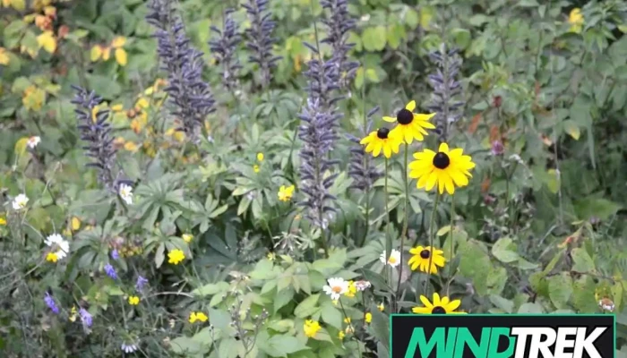 Wild Prairie Family Therapy - Winnipeg