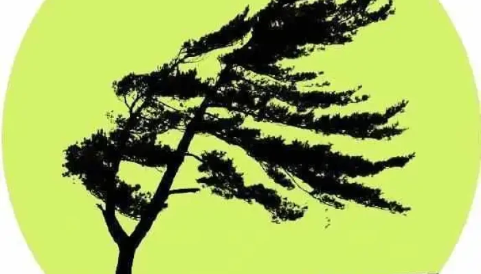 York Region Psychotherapy Counselling Services Yrpcs By Owner - Keswick